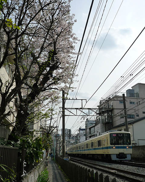 http://hokuten.sakura.ne.jp/blog/images/P1020383_1.jpg