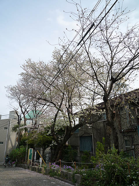 http://hokuten.sakura.ne.jp/blog/images/P1020407_1.jpg