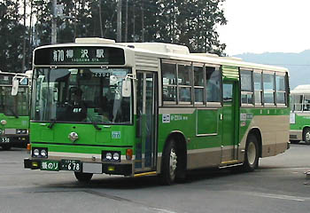 W-Z304