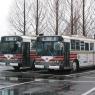 栃木22う794