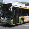 G-T241号車