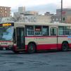 319号車 室蘭200か509