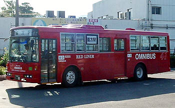 529-8255
