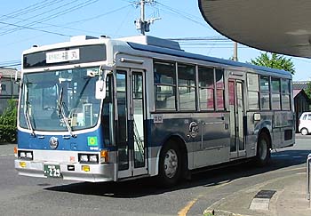 531-6461