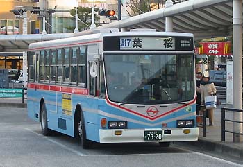 D1129