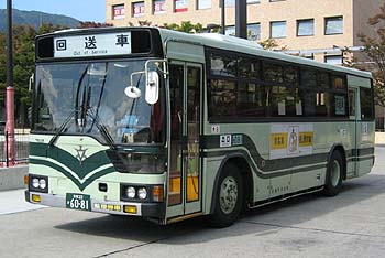 6081