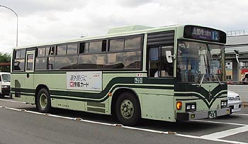 6231